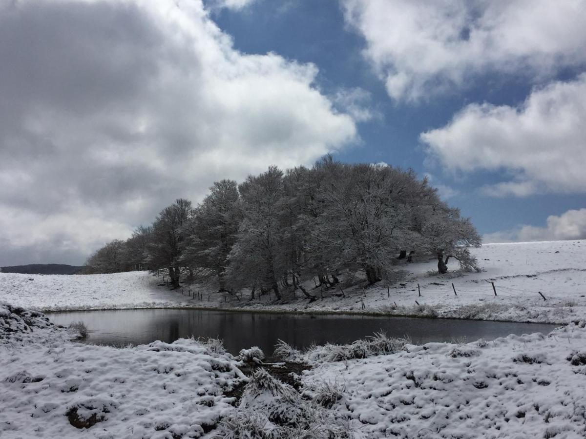 Comptoir D Aubrac Otel Dış mekan fotoğraf