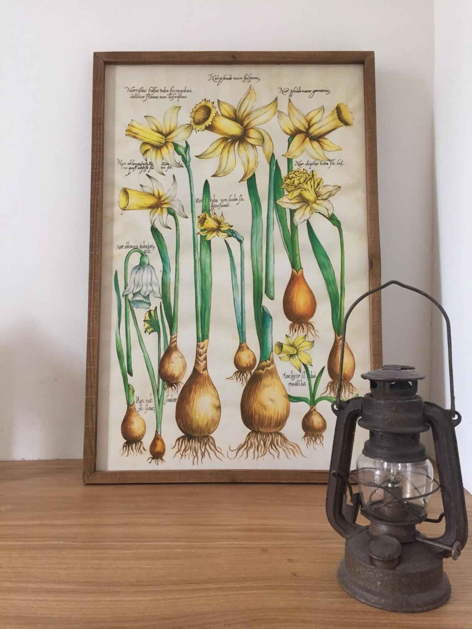 Comptoir D Aubrac Otel Dış mekan fotoğraf
